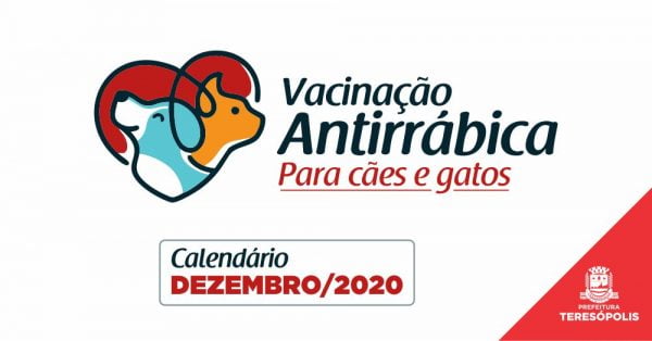 Leia mais sobre o artigo Em dezembro, vacina antirrábica para cães e gatos será aplicada em mais 14 bairros, na cidade e interior