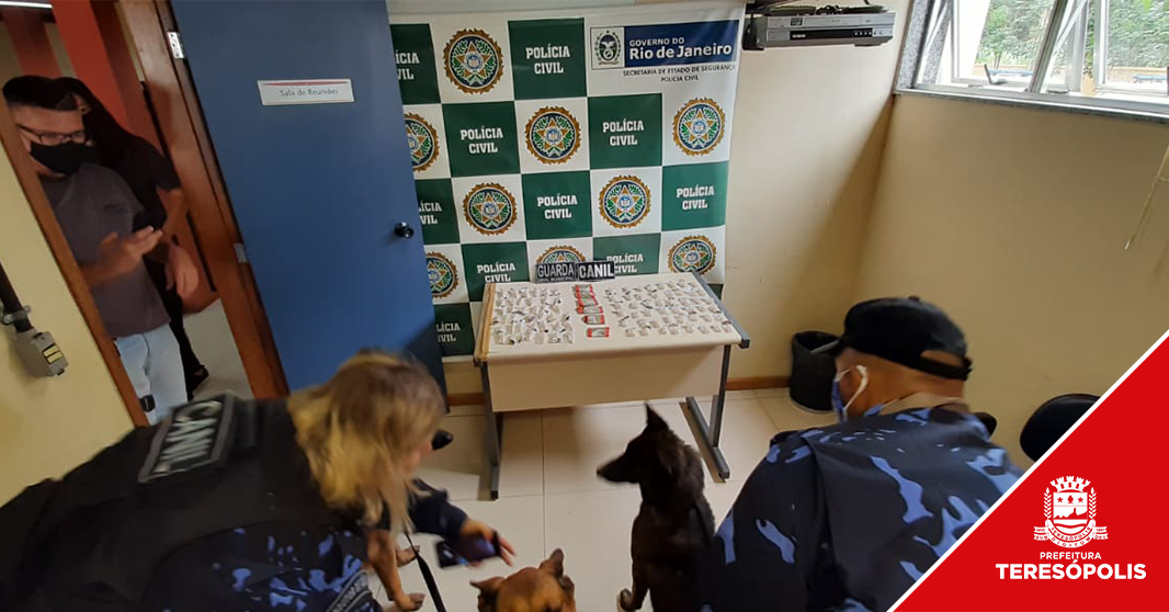 Você está visualizando atualmente Cia de Operações com Cães da Guarda Civil de Teresópolis participa de ação policial em Duas Barras