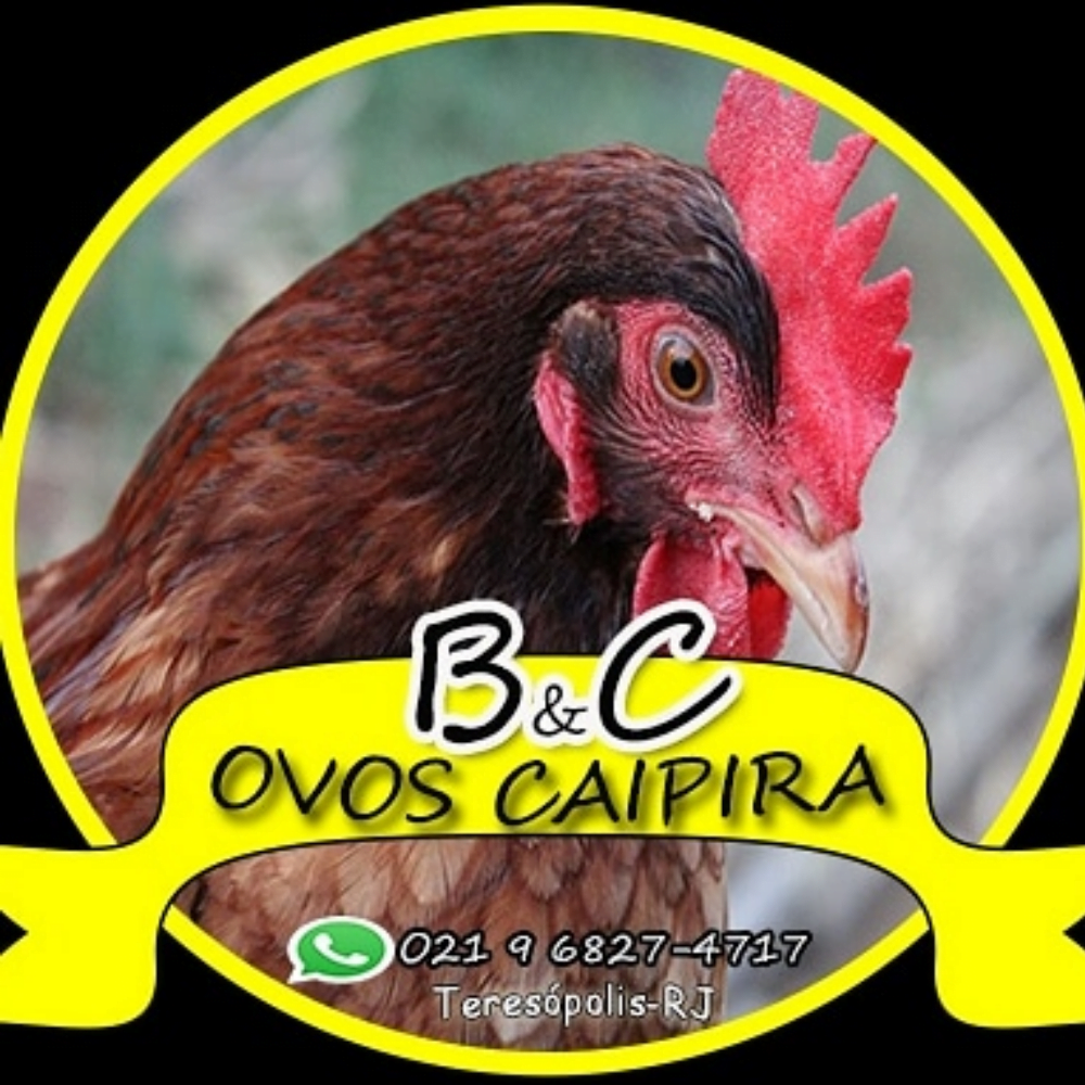 Leia mais sobre o artigo B&C OVOS CAIPIRA  – Feira Virtual do Produtor