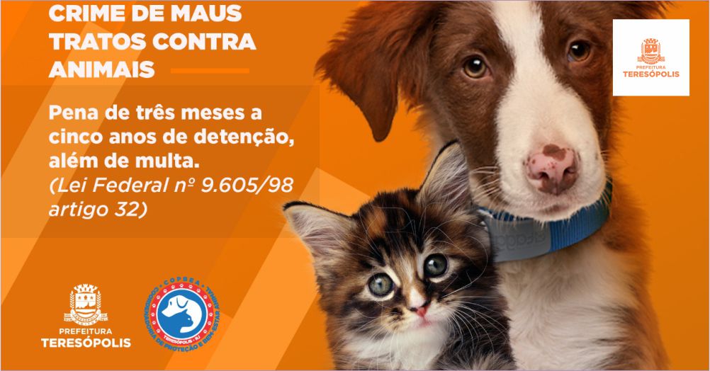 Você está visualizando atualmente Campanha “Abril laranja” para prevenção contra a crueldade animal