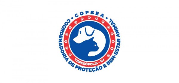 Leia mais sobre o artigo Censo animal facilita o acesso das pessoas com perfil ao programa municipal de castração gratuita de cães e gatos