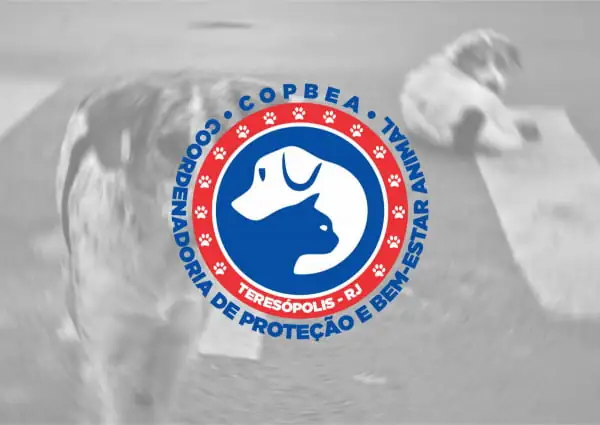 Leia mais sobre o artigo COPBEA registra denúncia e acompanha investigação de crueldade extrema a dois animais