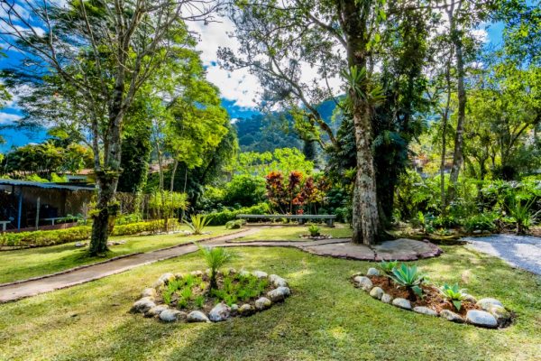 Leia mais sobre o artigo Horto Municipal recebe plantio de mudas para implantação do ‘Caminho Verde’