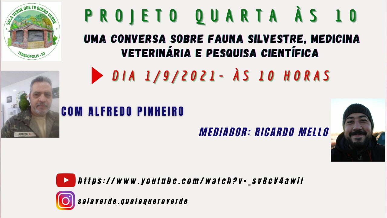 Você está visualizando atualmente Projeto ‘Quarta às 10’ aborda a fauna silvestre, medicina veterinária e pesquisa científica