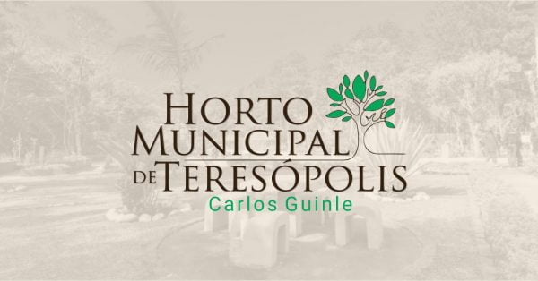 Leia mais sobre o artigo Em comemoração ao Dia da Árvore, Horto Municipal ganha primeiro exemplar de pau-brasil
