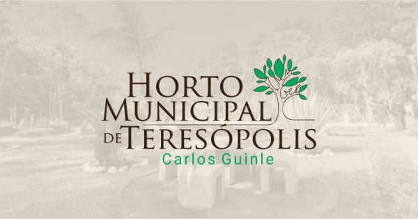 Leia mais sobre o artigo Horto Municipal comemora Dia da Árvore com atividades para crianças