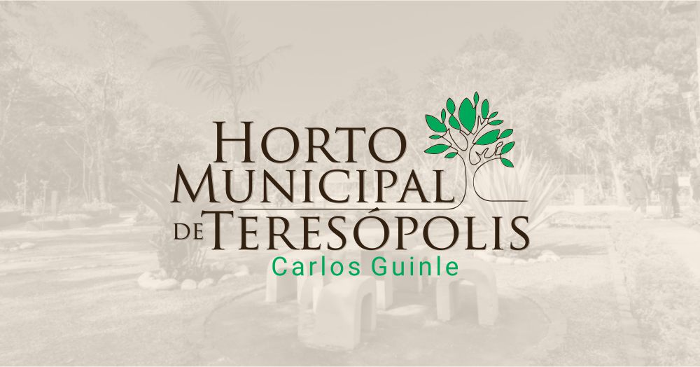 Read more about the article Horto Municipal comemora Dia da Árvore com atividades para crianças
