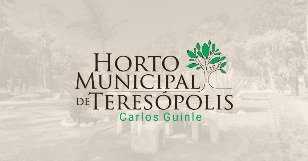 Você está visualizando atualmente Horto Municipal comemora Dia da Árvore com atividades para crianças