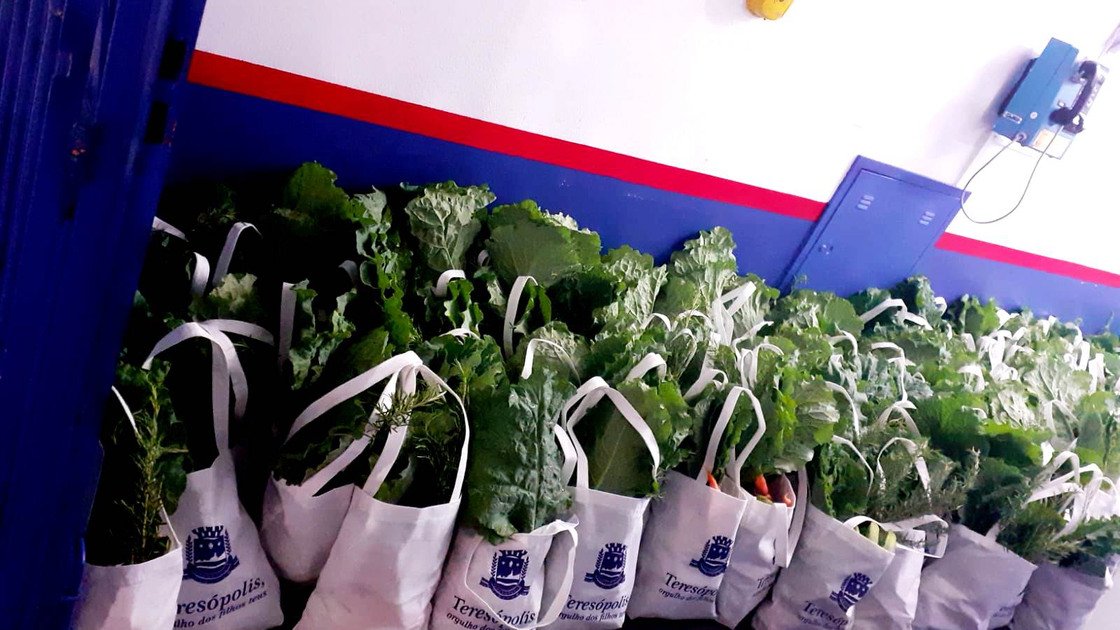 Leia mais sobre o artigo Prefeitura de Teresópolis entrega kits com produtos da agricultura familiar aos alunos das escolas municipais