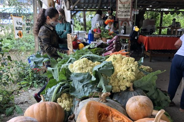 Leia mais sobre o artigo Iniciativa brasileira de agricultura orgânica recebe prêmio internacional na COP26