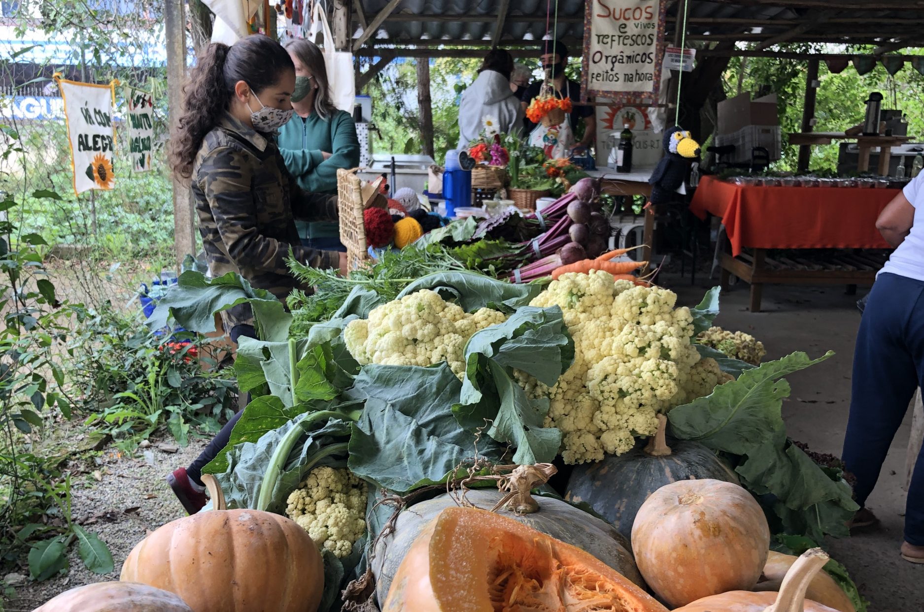 Você está visualizando atualmente Iniciativa brasileira de agricultura orgânica recebe prêmio internacional na COP26