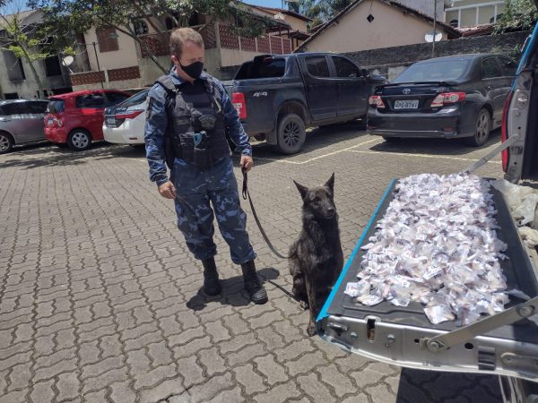 Leia mais sobre o artigo Cia de Operações com Cães da Guarda Civil participa de apreensão de drogas no Rosário