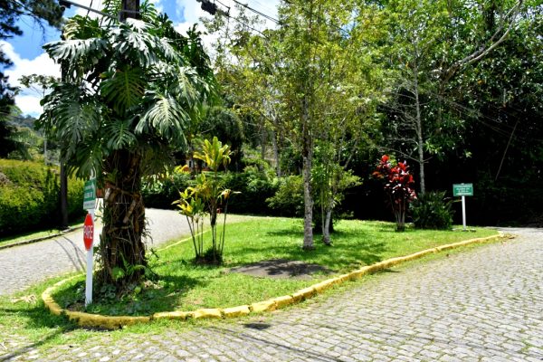 Leia mais sobre o artigo ‘Adote Terê’: jardins públicos em Quarenta Casas serão revitalizados pelo Condomínio Comary