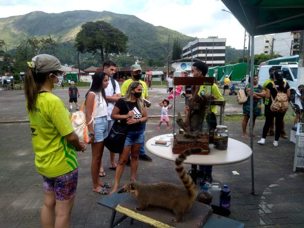 Leia mais sobre o artigo ‘Adote um Amor’: Feira realizada pela COPBEA registra 2 adoções concretizadas e 4 em andamento