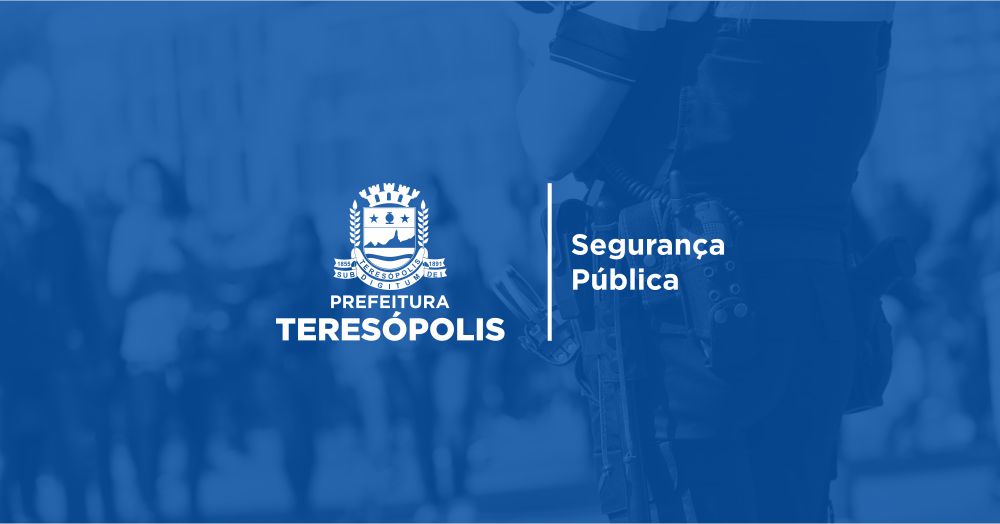 Leia mais sobre o artigo Segurança Municipal de Teresópolis vistoria de vans escolares na próxima semana