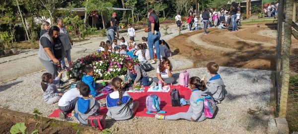 Leia mais sobre o artigo Crianças do Centro Pedagógico Rocha Falcão realizam atividade de plantio de hortaliças no Horto Municipal