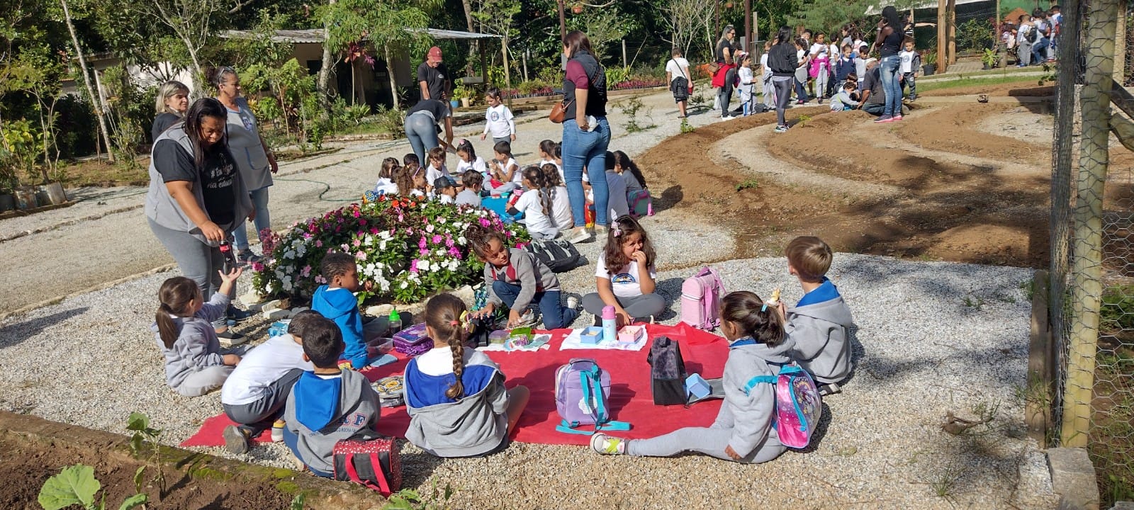 Você está visualizando atualmente Crianças do Centro Pedagógico Rocha Falcão realizam atividade de plantio de hortaliças no Horto Municipal