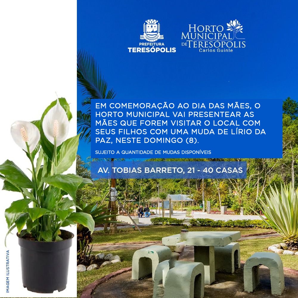 Você está visualizando atualmente Feliz Dia das Mães com Flores! Mães que visitarem o Horto Municipal, neste domingo, 8, serão presenteadas com mudas de lírio-da-paz