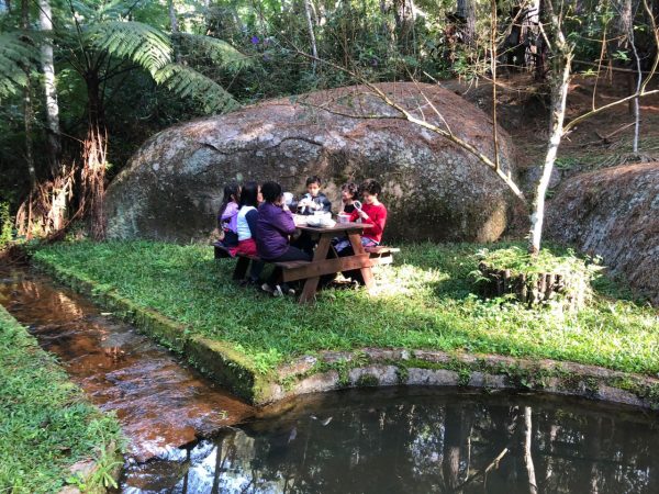 Leia mais sobre o artigo Educação ambiental para comemoração do Dia da Mata Atlântica