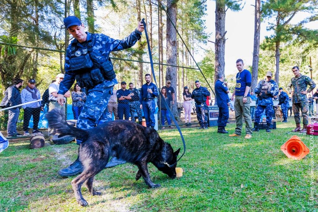 Read more about the article 3º Encontro de Unidades K9: Teresópolis se destaca nas provas de detecção e de intervenção com cães treinados para operações de segurança pública