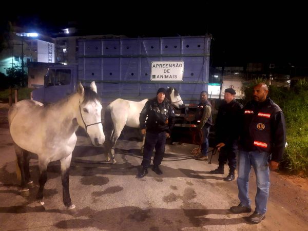 Leia mais sobre o artigo Cavalos em via pública são recolhidos pela COPBEA e dono é multado por reincidência