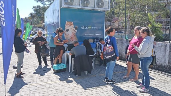 Leia mais sobre o artigo Projeto Ellos Castrapet realiza castração gratuita de cães e gatos