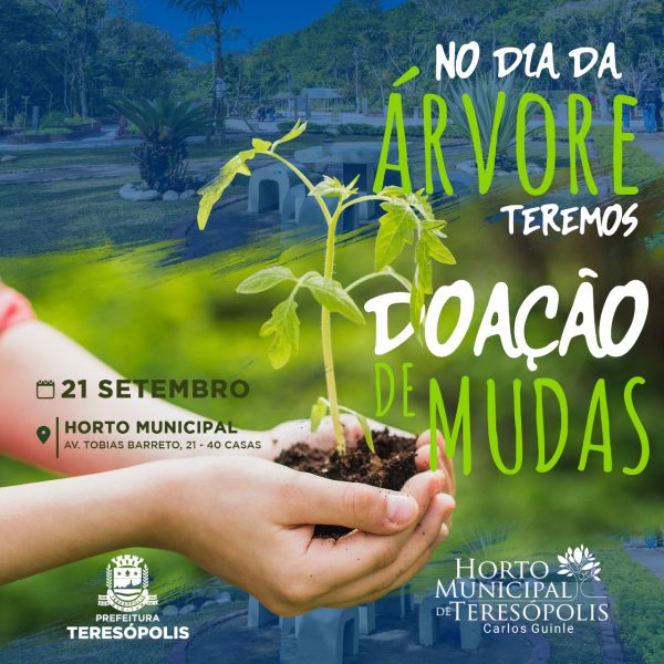 Leia mais sobre o artigo Dia da Árvore será comemorado no Horto Municipal com doação de mudas para os visitantes