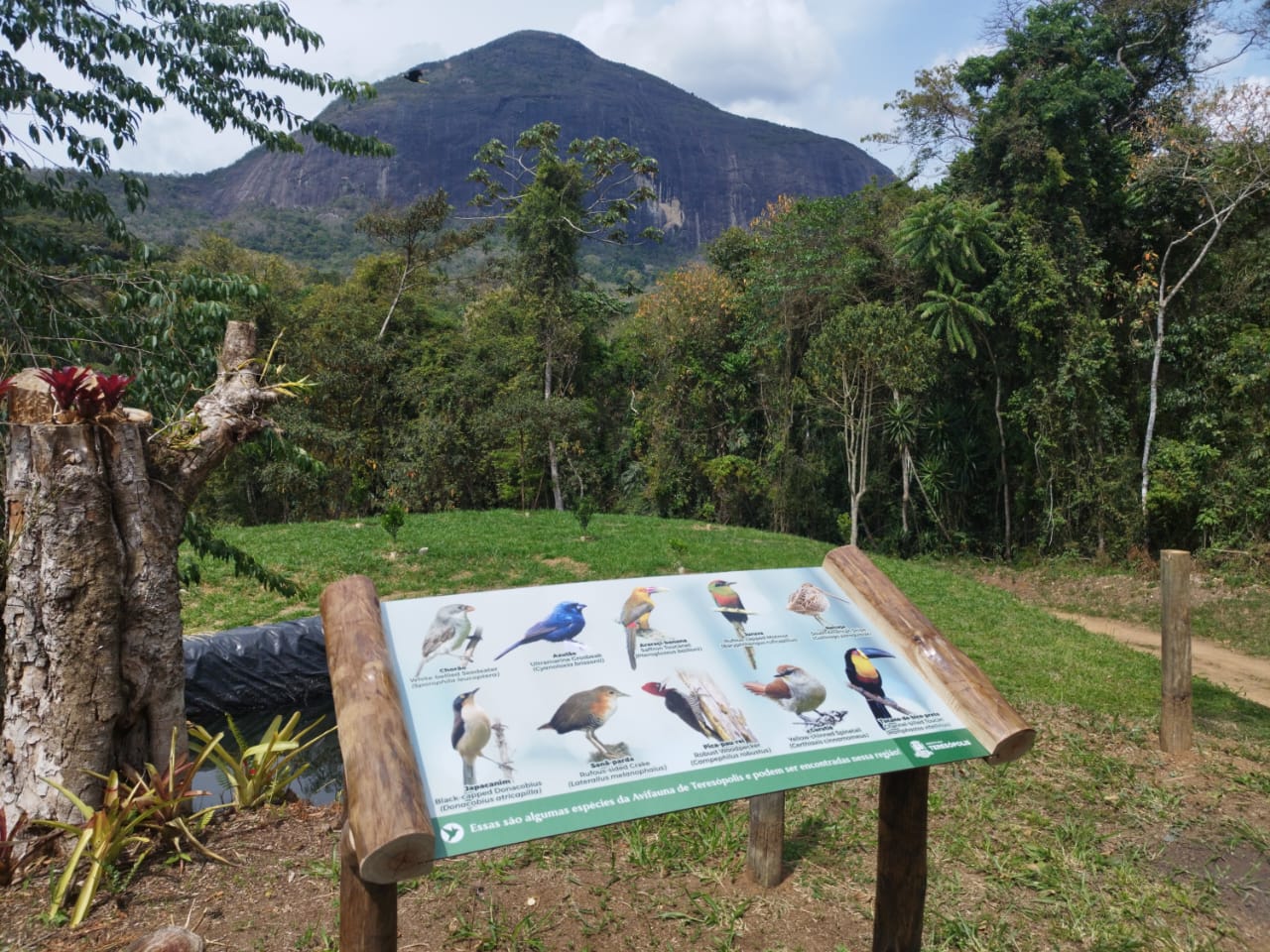 No momento, você está visualizando Parque Municipal inicia cadastros no Programa Municipal de Observação de Aves
