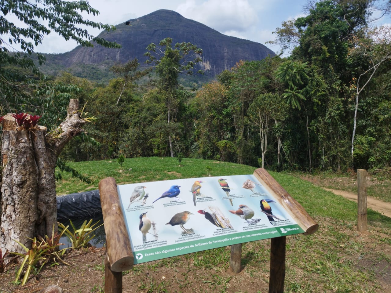 Leia mais sobre o artigo Parque Municipal inicia cadastros no Programa Municipal de Observação de Aves