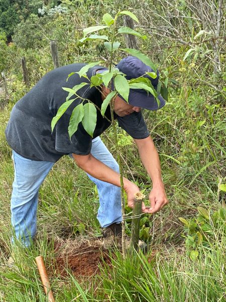 Leia mais sobre o artigo Programa Municipal de Recuperação Florestal já plantou mais de 11 mil mudas em bairros da cidade e do interior