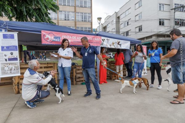 Leia mais sobre o artigo ‘Adote um Amor’: COPBEA doa cinco cães na última feira de adoção de 2022