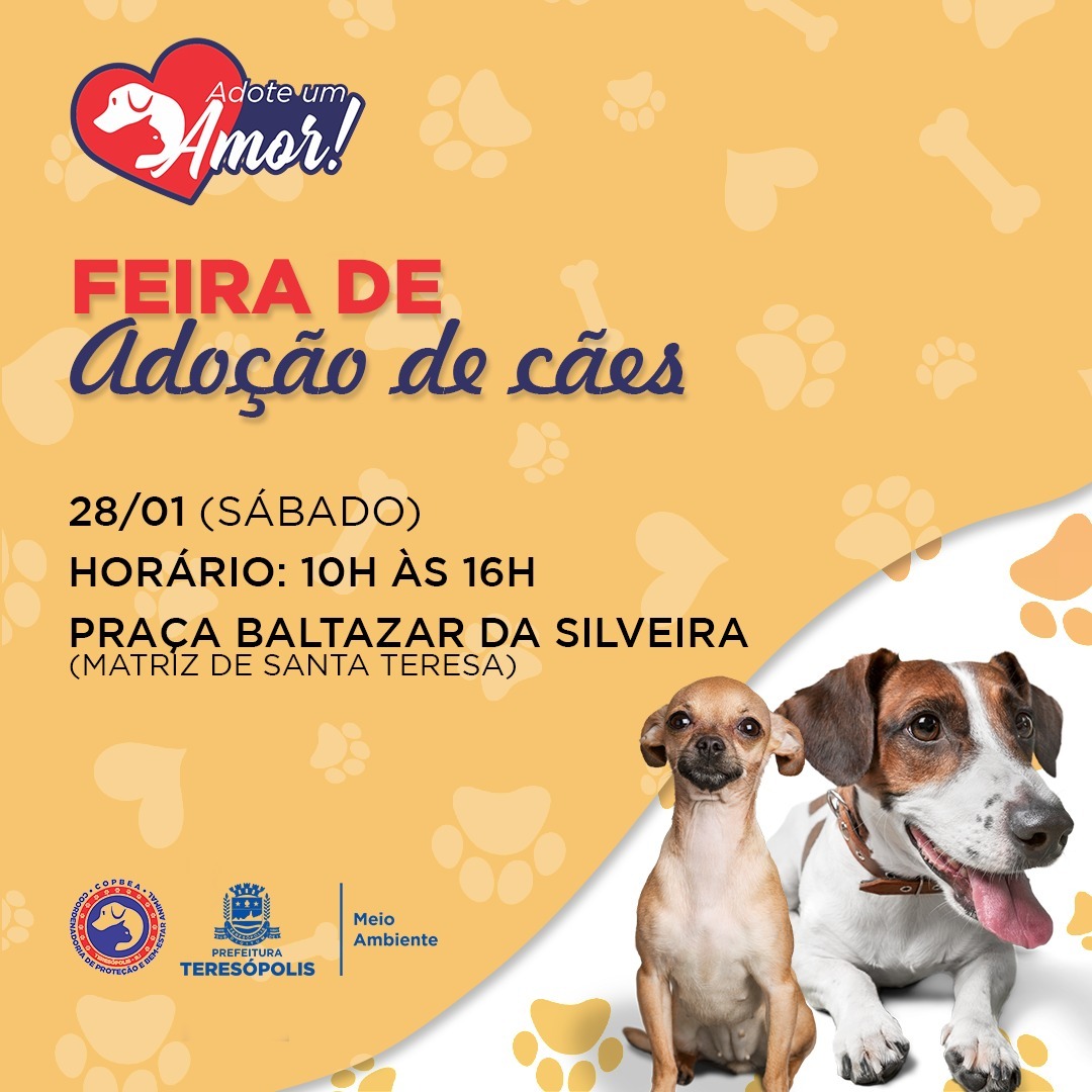 Read more about the article ‘Adote um Amor’: COPBEA realiza mais umaedição da feira de adoção de cães neste sábado, 28/01, na Praça Santa Teresa