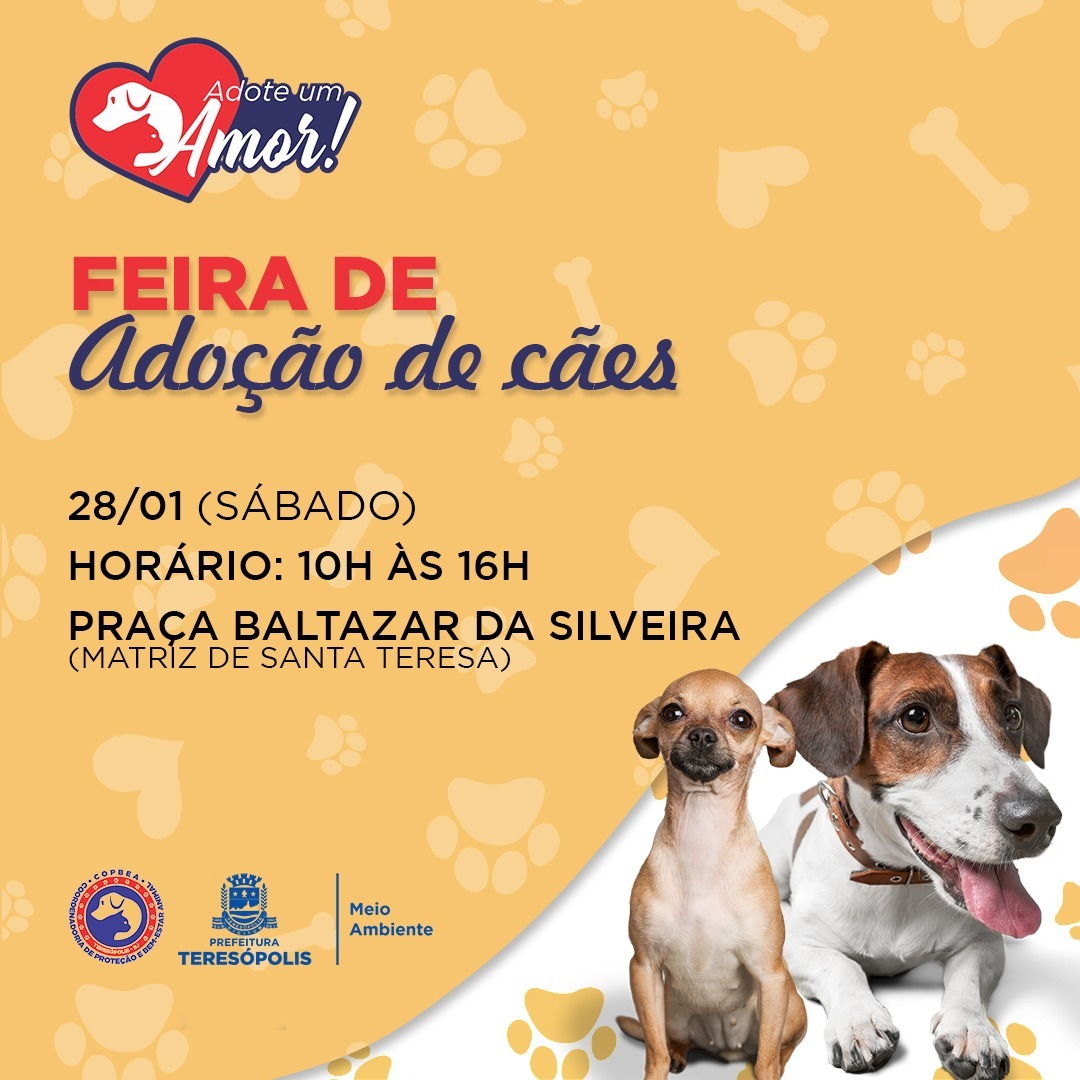 Você está visualizando atualmente ‘Adote um Amor’: COPBEA realiza mais umaedição da feira de adoção de cães neste sábado, 28/01, na Praça Santa Teresa