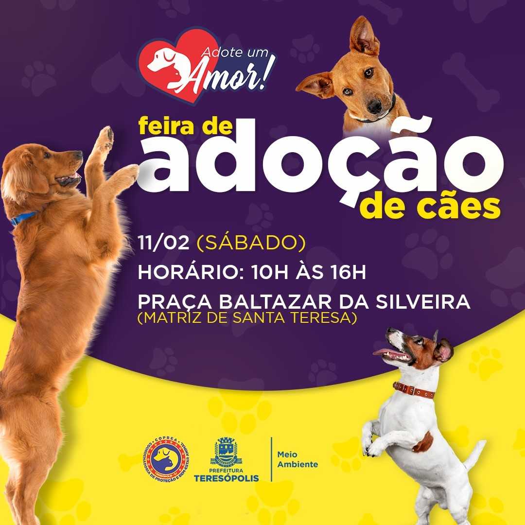 Você está visualizando atualmente Adote um AUmigo: COPBEA realiza mais uma edição da feira de cães neste sábado, 11/02, na Praça Santa Teresa