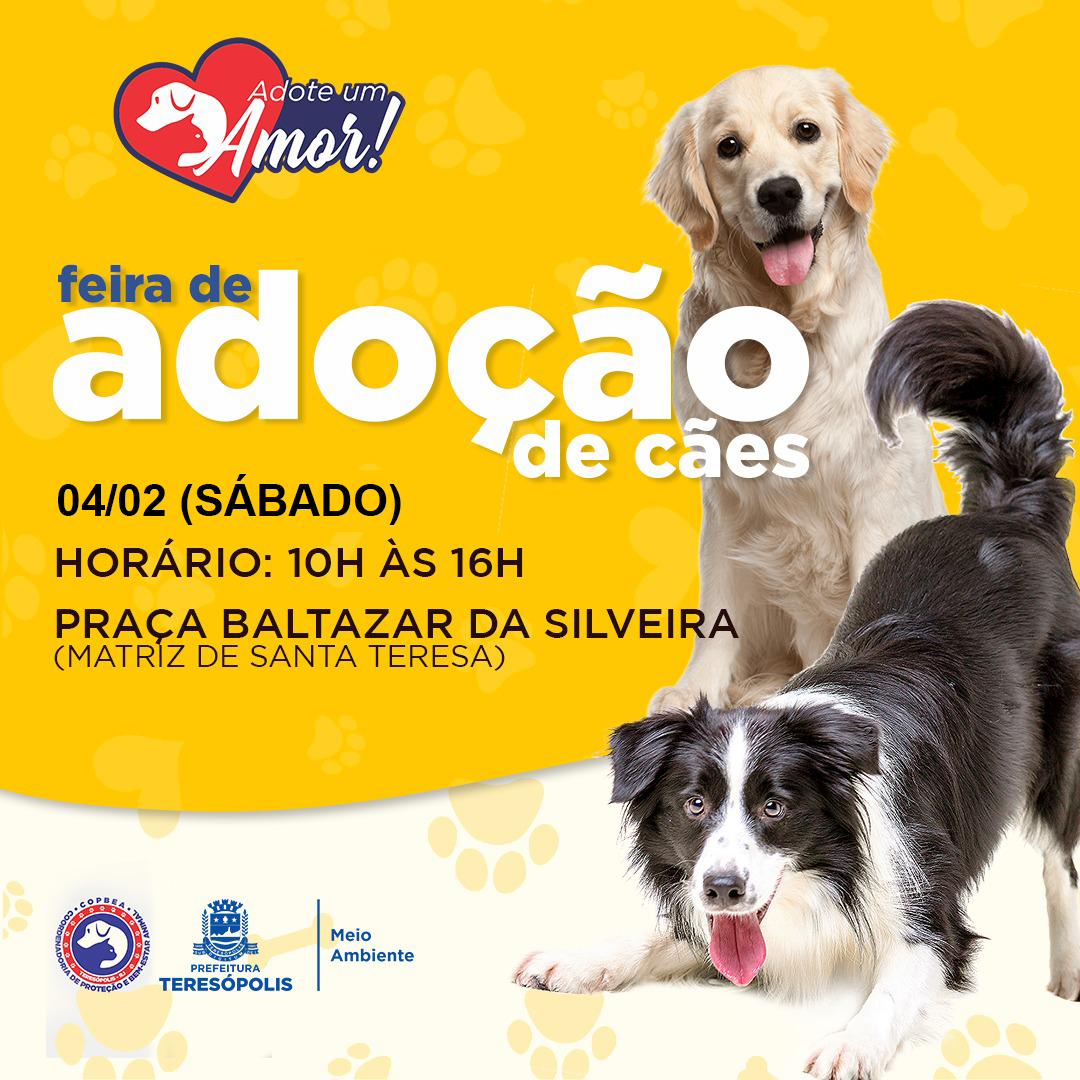 Você está visualizando atualmente ‘ADOTE UM AMOR’: feira de adoção de cães da COPBEA acontece neste sábado, 04/02, na Praça Santa Teresa