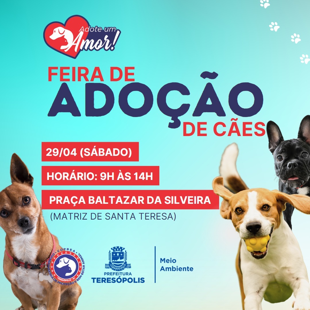 Você está visualizando atualmente Feira de adoção de cães da COPBEA acontece neste sábado, 29/04, na Praça Santa Teresa