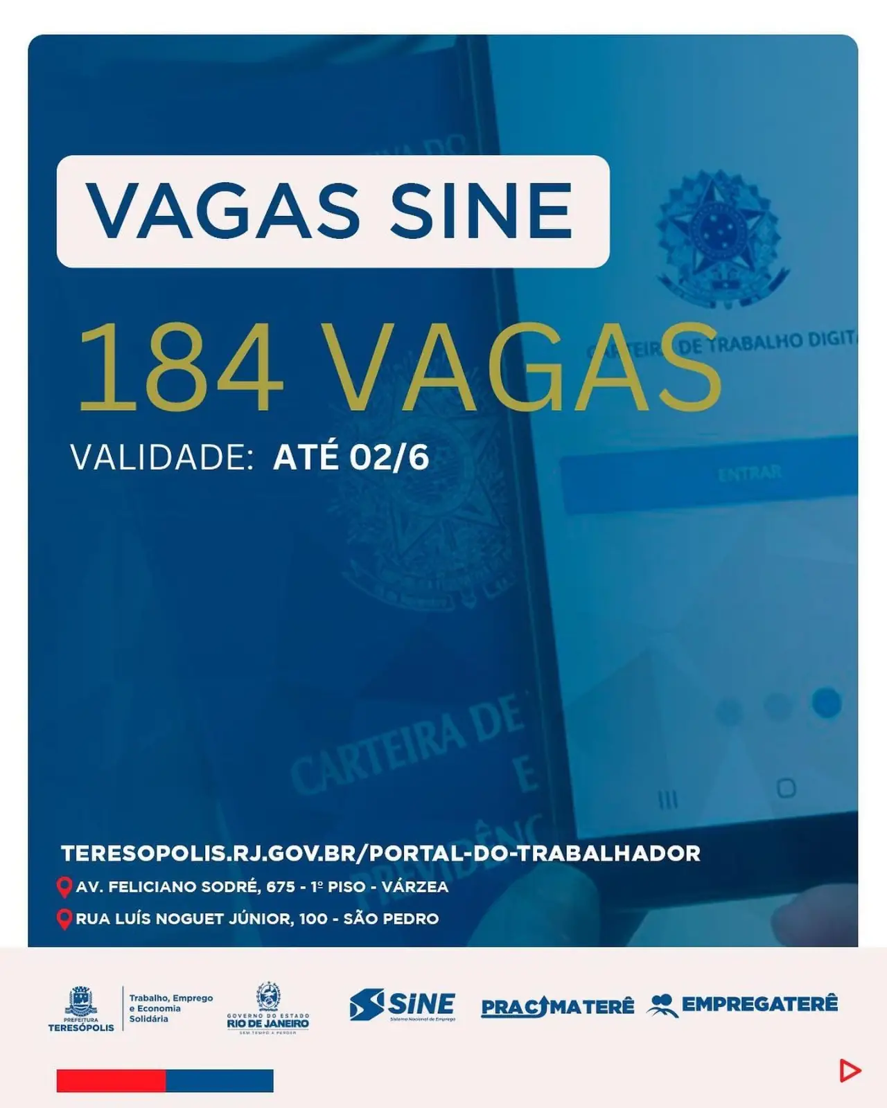 Você está visualizando atualmente Programa ‘Emprega Terê’ divulga 184 vagas de emprego para pessoas com e sem experiência e para PcD