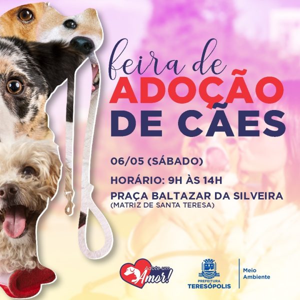 Leia mais sobre o artigo ADOÇÃO DE PETS: COPBEA realiza mais uma edição da feira de cães neste sábado, 06/05, na Praça Santa Teresa