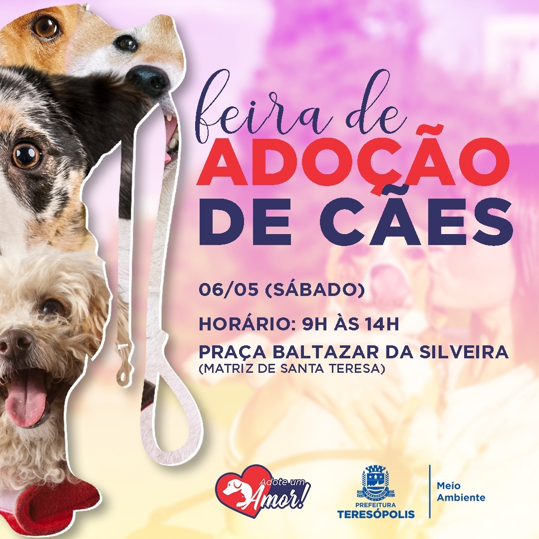 Você está visualizando atualmente ADOÇÃO DE PETS: COPBEA realiza mais uma edição da feira de cães neste sábado, 06/05, na Praça Santa Teresa
