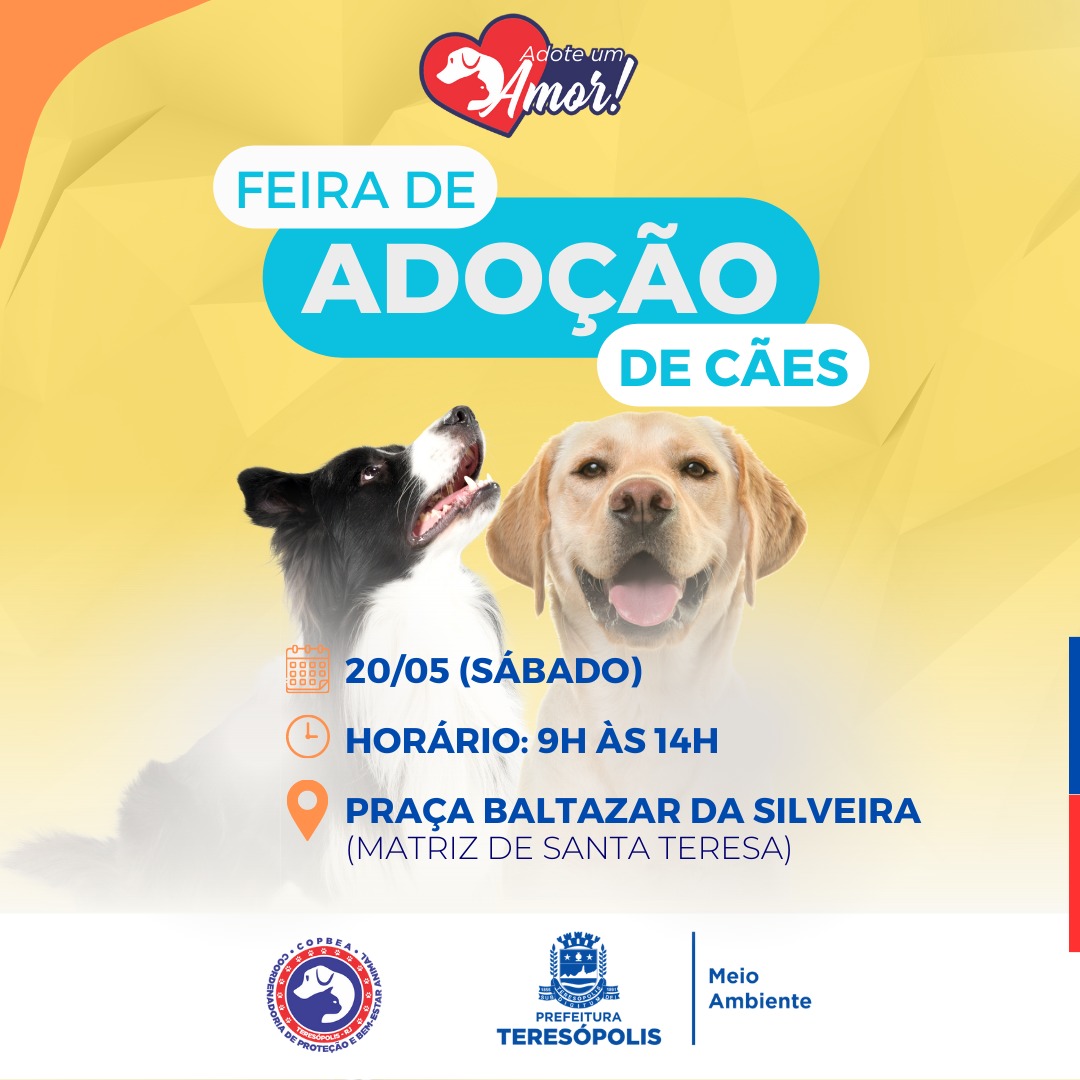 Você está visualizando atualmente ‘Adote um Amor’: COPBEA realiza mais uma edição da feira de adoção de cães neste sábado, 20, na Praça Santa Teresa