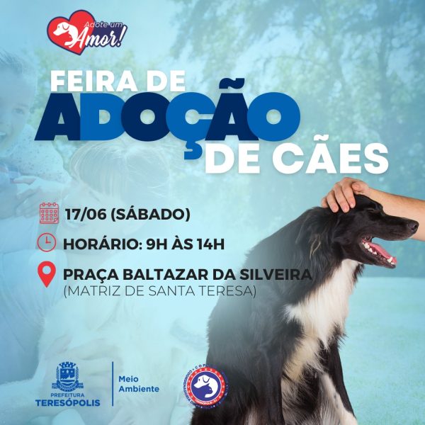Leia mais sobre o artigo Feira de adoção de cães da COPBEA acontece neste sábado, 17/06, na Praça Santa Teresa