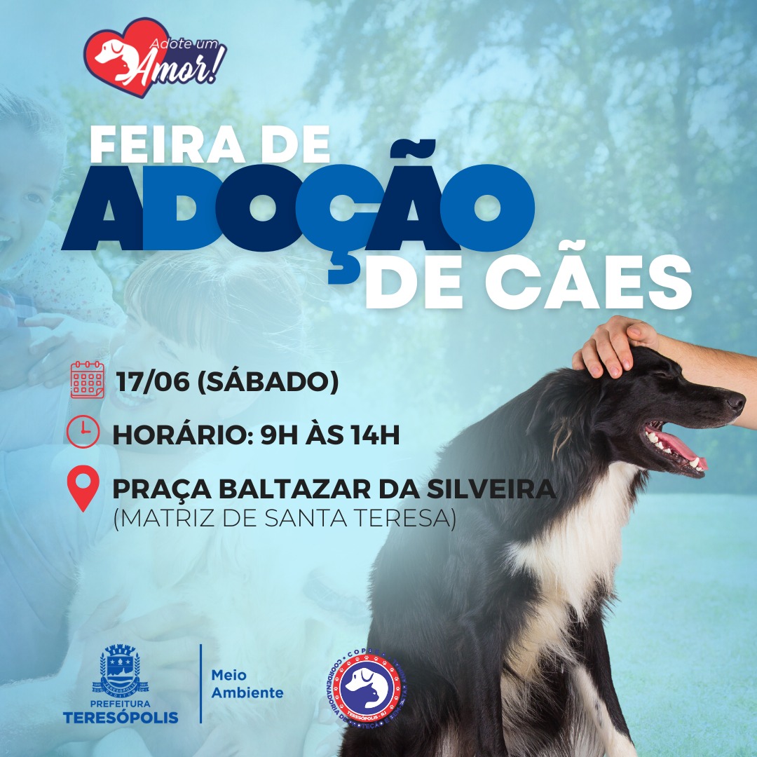 Você está visualizando atualmente Feira de adoção de cães da COPBEA acontece neste sábado, 17/06, na Praça Santa Teresa