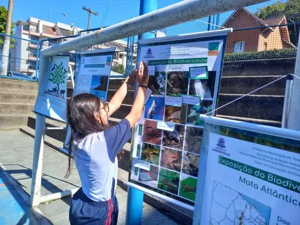 Leia mais sobre o artigo Atividades sobre biodiversidade, conservação e respeito ao Meio Ambiente são promovidas na Escola Municipal Ginda Bloch