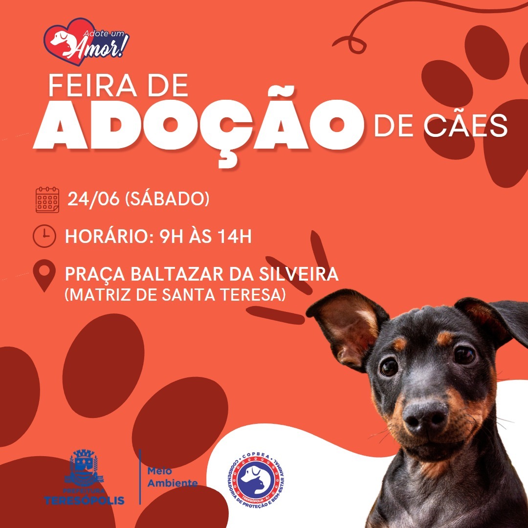 Você está visualizando atualmente ‘Adote um amor’: feira de adoção de cães da COPBEA acontece neste sábado, 24, na Praça Santa Teresa