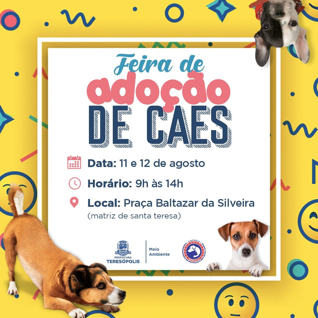 Leia mais sobre o artigo Feira de adoção de cães da COPBEA acontece nesta sexta e sábado, na Praça Santa Teresa