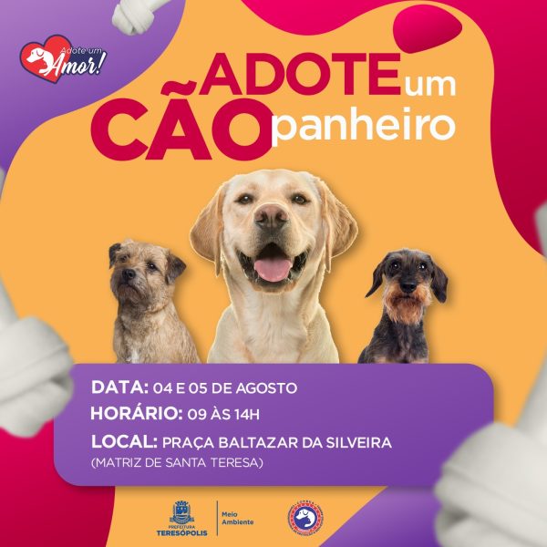 Leia mais sobre o artigo  ‘Adote um CÃOpanheiro’: feira de adoção de cães da COPBEA acontece nesta sexta e sábado, na Praça Santa Teresa
