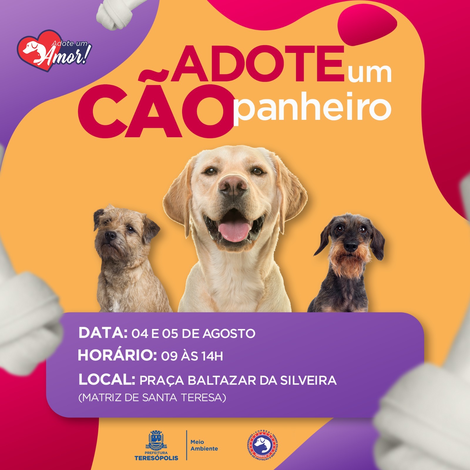 Você está visualizando atualmente  ‘Adote um CÃOpanheiro’: feira de adoção de cães da COPBEA acontece nesta sexta e sábado, na Praça Santa Teresa