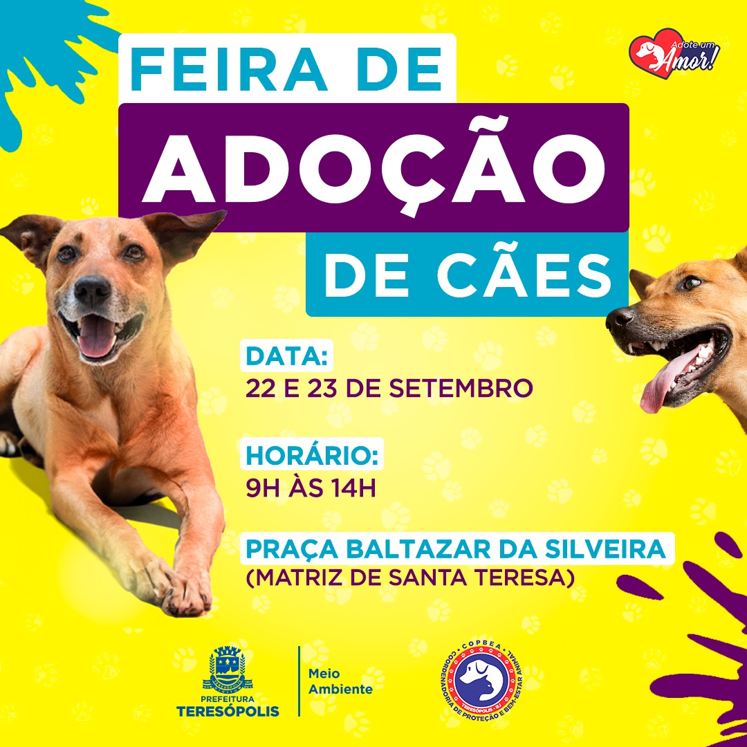 Você está visualizando atualmente Feira de adoção de cães da COPBEA acontece nesta sexta e sábado, na Praça Santa Teresa