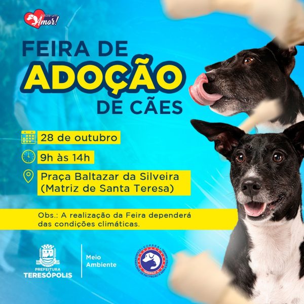 Leia mais sobre o artigo ‘Adote um amor’: feira de adoção de cães acontece neste sábado, 28, na Praça Santa Teresa