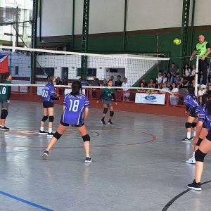 JET`s começam com Futsal, no Pedrão, e Vôlei, na Casa de Portugal